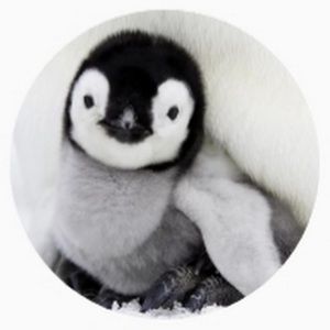 Meet your Posher, Jamesforrest